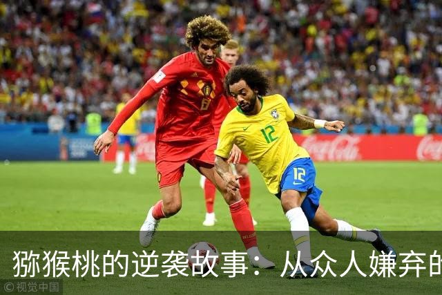 猕猴桃的逆袭故事：从众人嫌弃的“恶果”到重登宝座