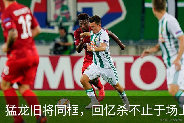 猛龙旧将同框，回忆杀不止于场上